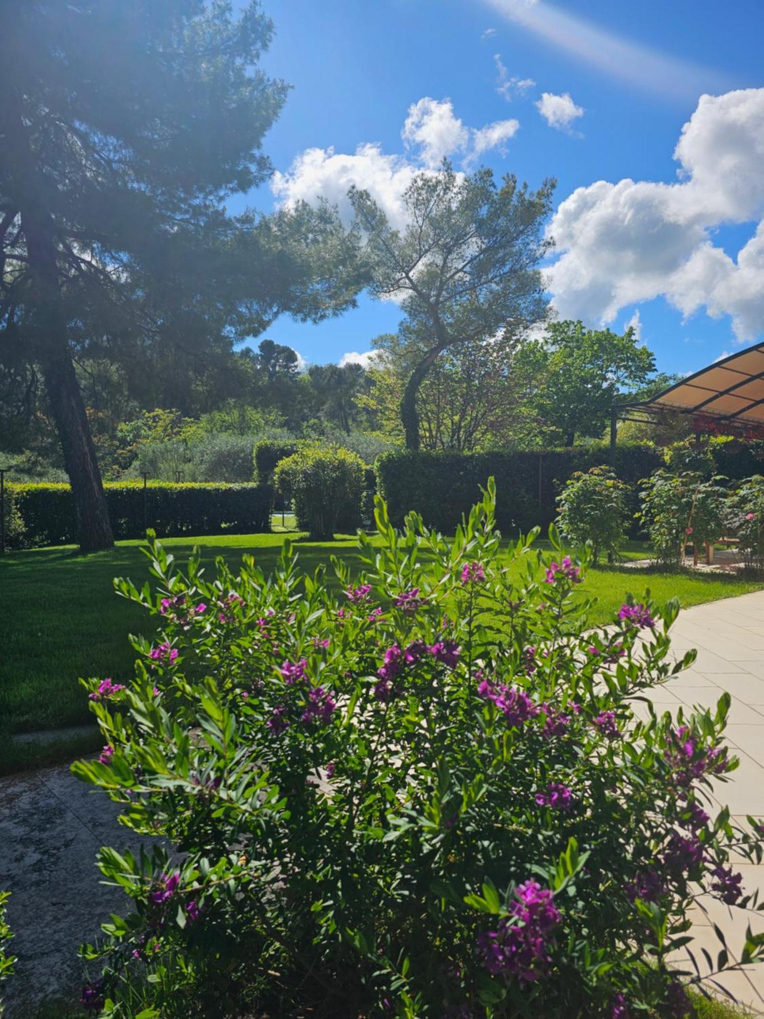 Villa Monacelli Fano Exterior foto